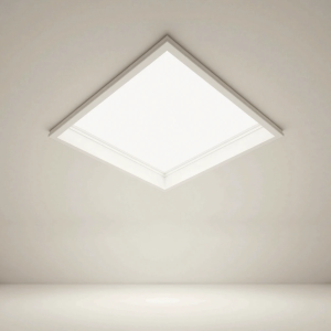 Ceiling Panel